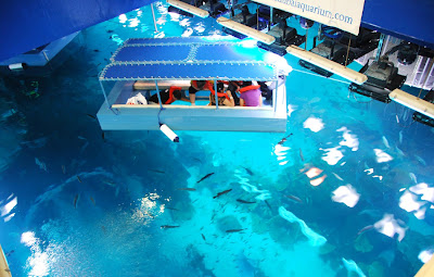 Dubai Aquarium