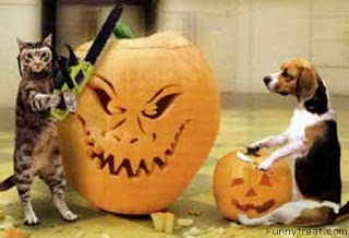 Funny Pumpkin Halloween Wallpaper