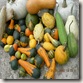 DSCN7267