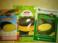 jual benih, semangka inul, semangka hibrida, tanaman semangka, toko pertanian, lmga agro