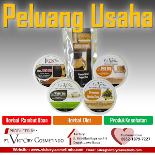 PELUANG USAHA 2013