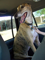 MacIntyre in the truck