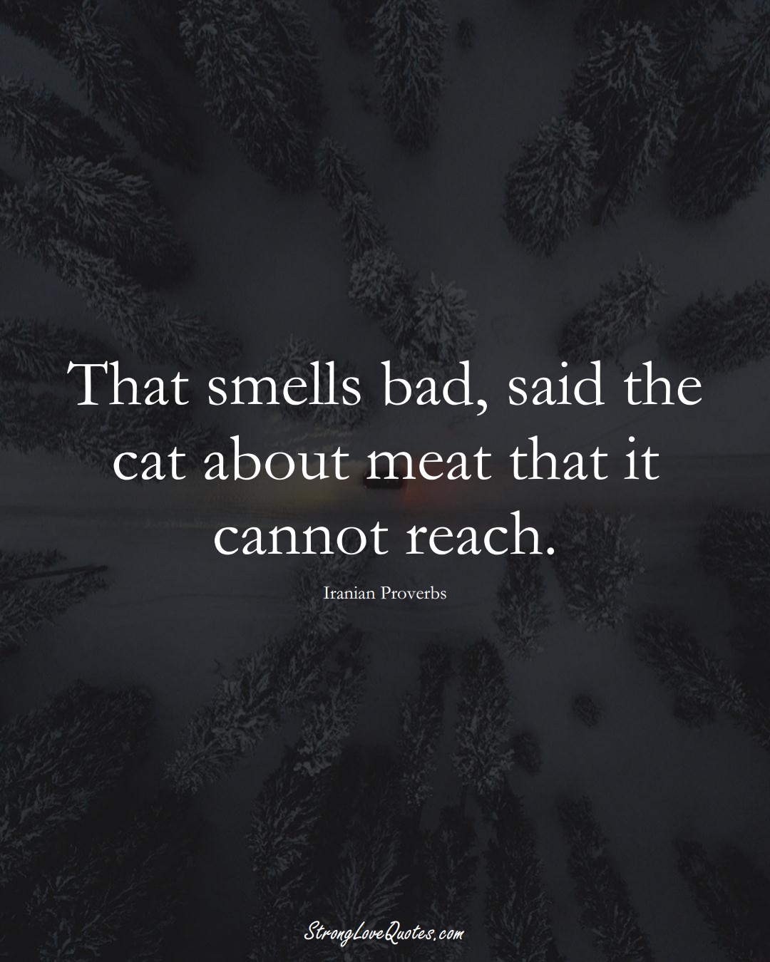 That smells bad, said the cat about meat that it cannot reach. (Iranian Sayings);  #MiddleEasternSayings