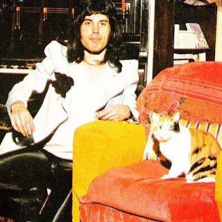 18 fotos de Freddie Mercury y sus gatos, a los que amaba y trataba como a sus propios hijos