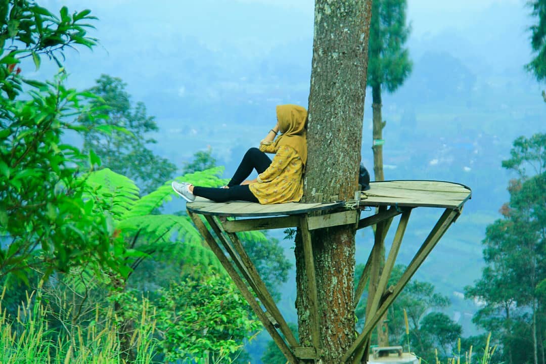 Tiket Masuk Dan Lokasi Bukit Grenden Pakis Magelang ...