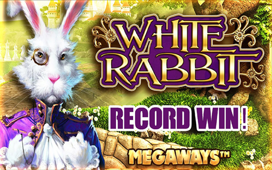 Goldenslot White Rabbit