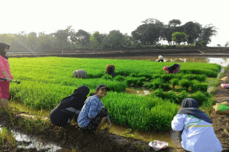 judul puisi dinamika sosial