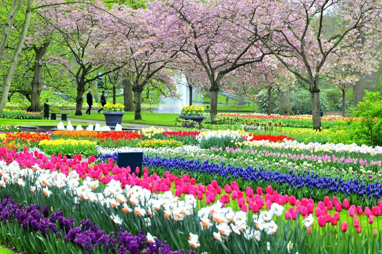 Flower Garden Pictures Download - Beautiful Flower Garden Picture Collection 2023.  Full Bagan Pic - NeotericIT.com