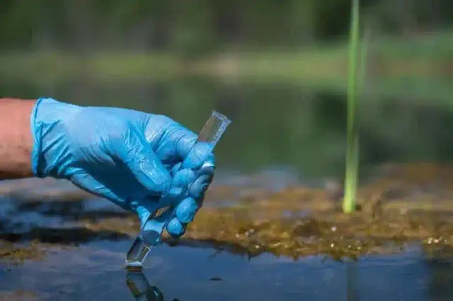 cholera cases in Limpopo from 2 Zimbabweans