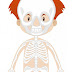 Funciones del esqueleto humano para niños