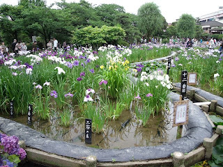 horikiri iris garden