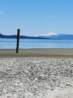 View of Mount Baker from Sidney Spit