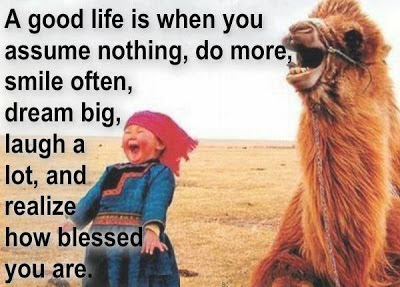 A good life is when you assume nothing, do more, smile often, dream big, laugh a lot, and realize how blessed you are.