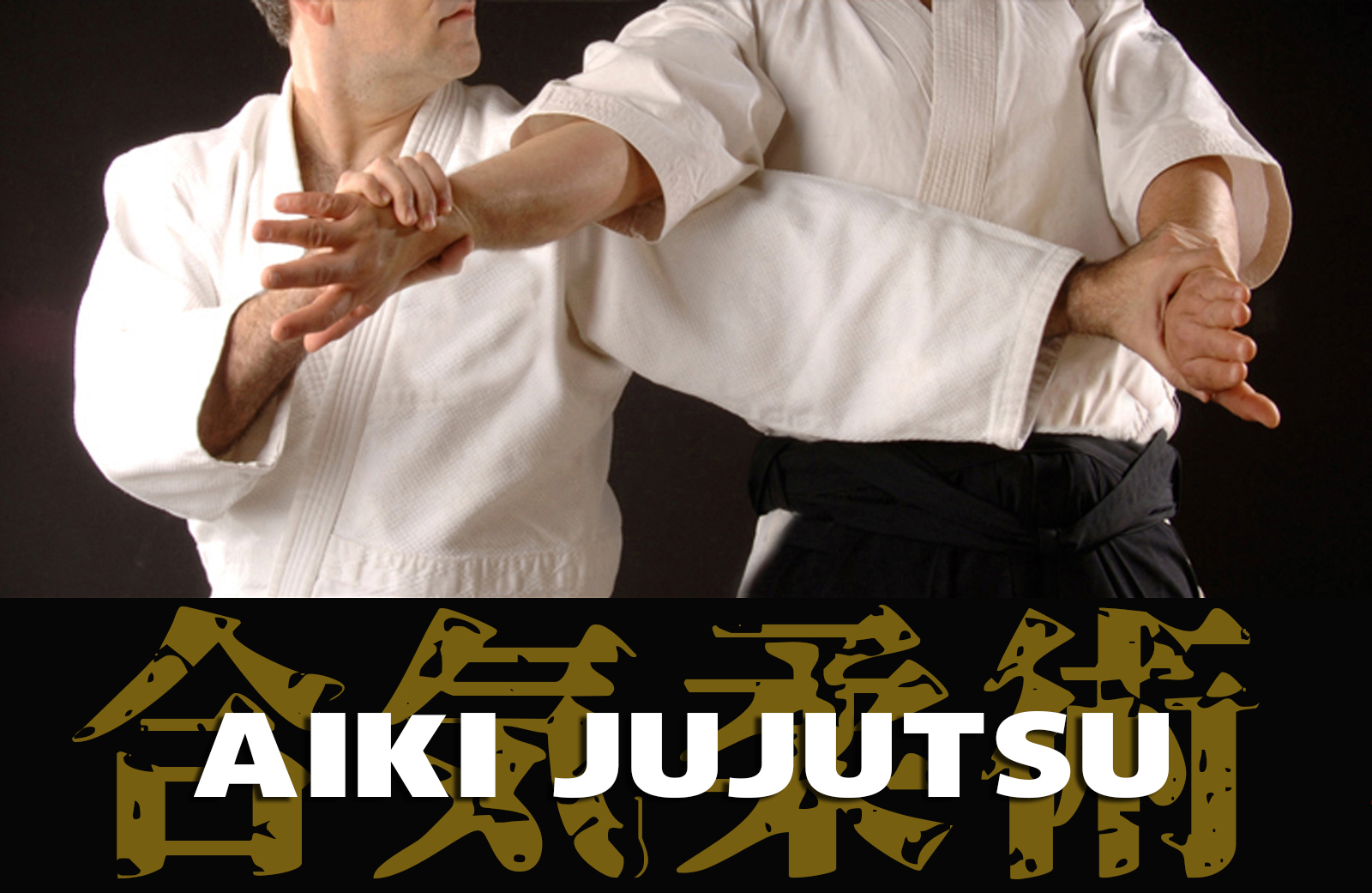 Aikijujutsu 