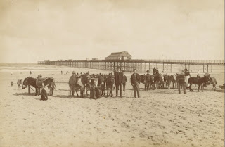 beach sands donkeys