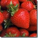 BUDIDAYA STROBERRY