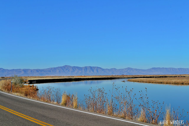 Bear River Migratory Bird Refuge