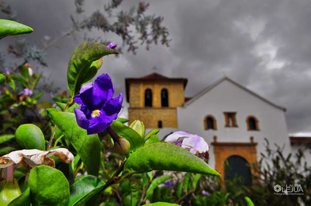 Iglesia de Villa de Leyva entre flores y hojas