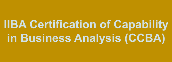 IIBA Certification of Capability in Business Analysis (CCBA)