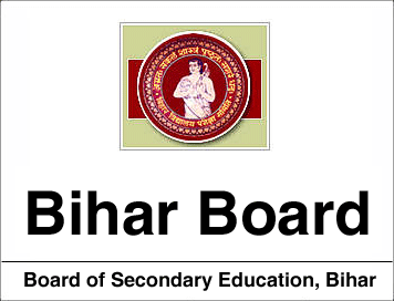 BSEB Recruitment 2019, 37335 STET Exam Various Online Post 