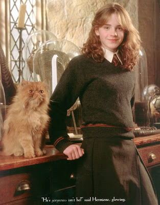 Crookshanks, kucing milik Hermione Granger