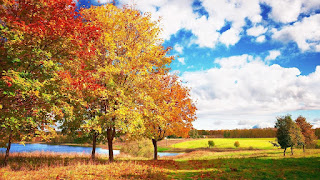 Beautiful Autumn HD Wallpaper Photos