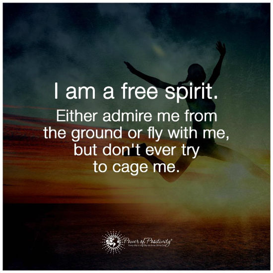 I am a free Spirit Either admire me from the ground or fly ...