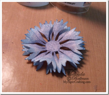 FLOWER FINAL