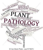 objective questions on plant pathology