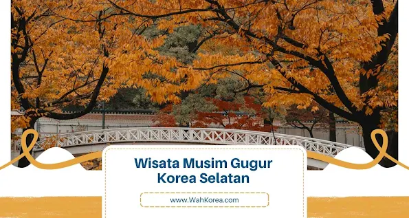 Tempat Wisata Hits Saat Musim Gugur di Korea