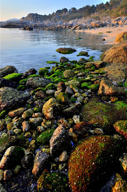 Playa Lagos Bueu