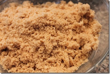 Apple Crumb Pie 008