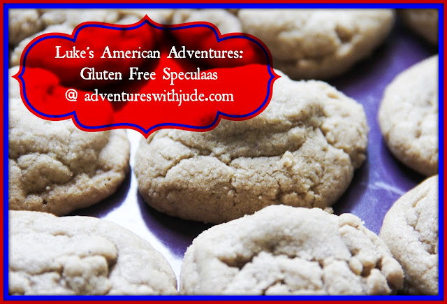 gluten dairy free speculaas spice cookies