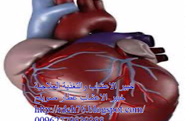تحليل صورة الدهون الكيميائية :