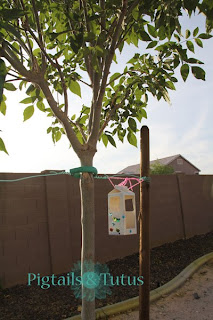 hanging bird feeder plans