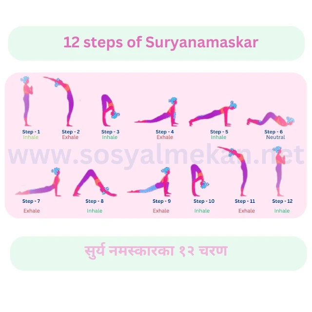 surya-namaskar-sun-salutation-yoga-asanas-sequence-set-illustration-young-woman-do-morning-yoga-stretch-exercise-poses