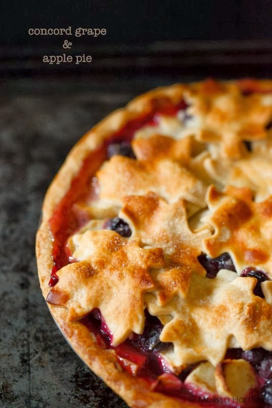 grape-apple-pie-533x800