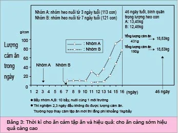 Nếu cho heo con ăn cám tập ăn sớm thì sẽ có nhiều điểm lợi