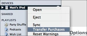 Transfer iPod music to Computer