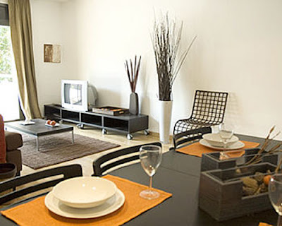 Apartment Living Room Design