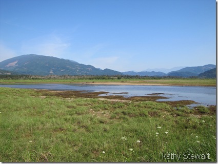 The estuary