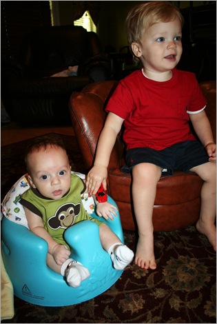 Campbell in Bumbo 137