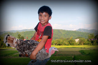 a boy and a turkey