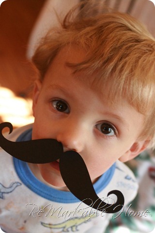 IMG_5520 IMG_5520