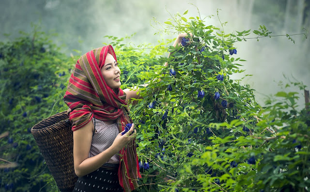 Inilah 7 Manfaat Berkebun untuk Kesehatan Tubuh Anda