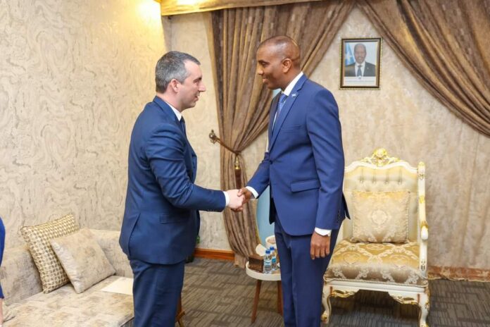 The Prime Minister of the Federal Government of Somalia met, in his office, with the Serbian presidential envoy to the Horn of Africa