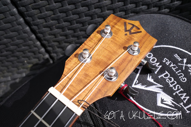 Twisted Wood Sierra Concert Ukulele headstock