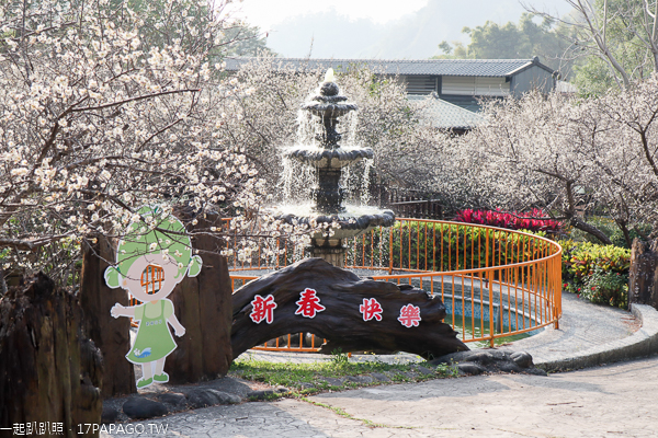 新社梅林親水岸賞梅花好去處，還有民宿和露營區，親子同遊也適合