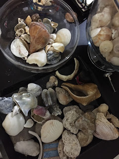 Seashell Home Art Projects With Your Favorite Shells