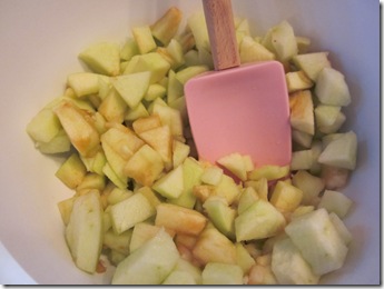 applecake 006